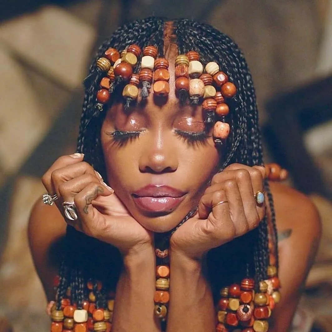 Beaded Fringe Box Braids