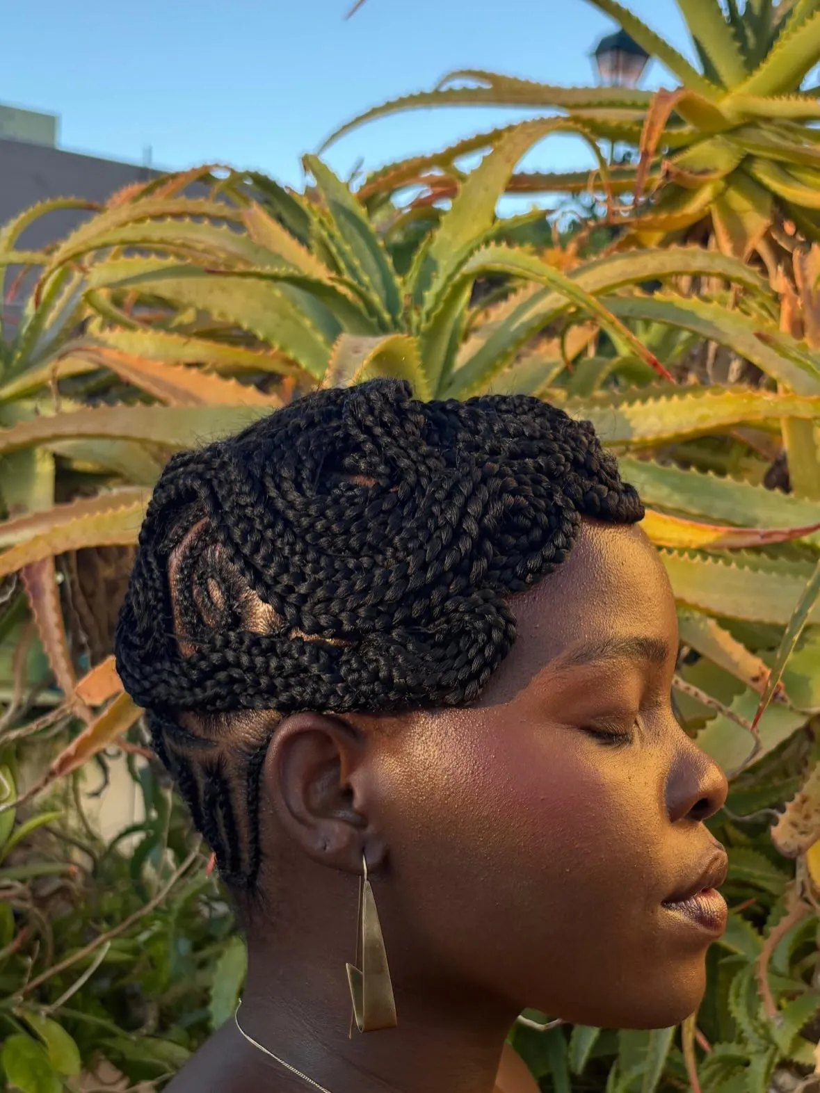 Braided Crown Updo