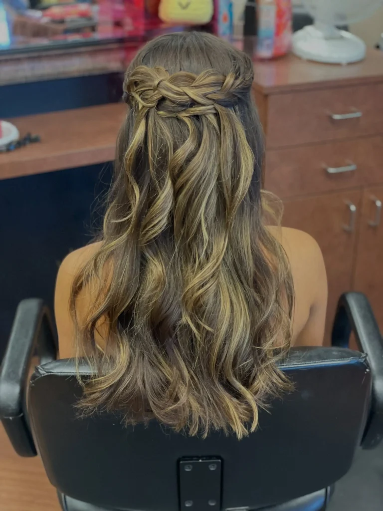Braided Halo Half-Up