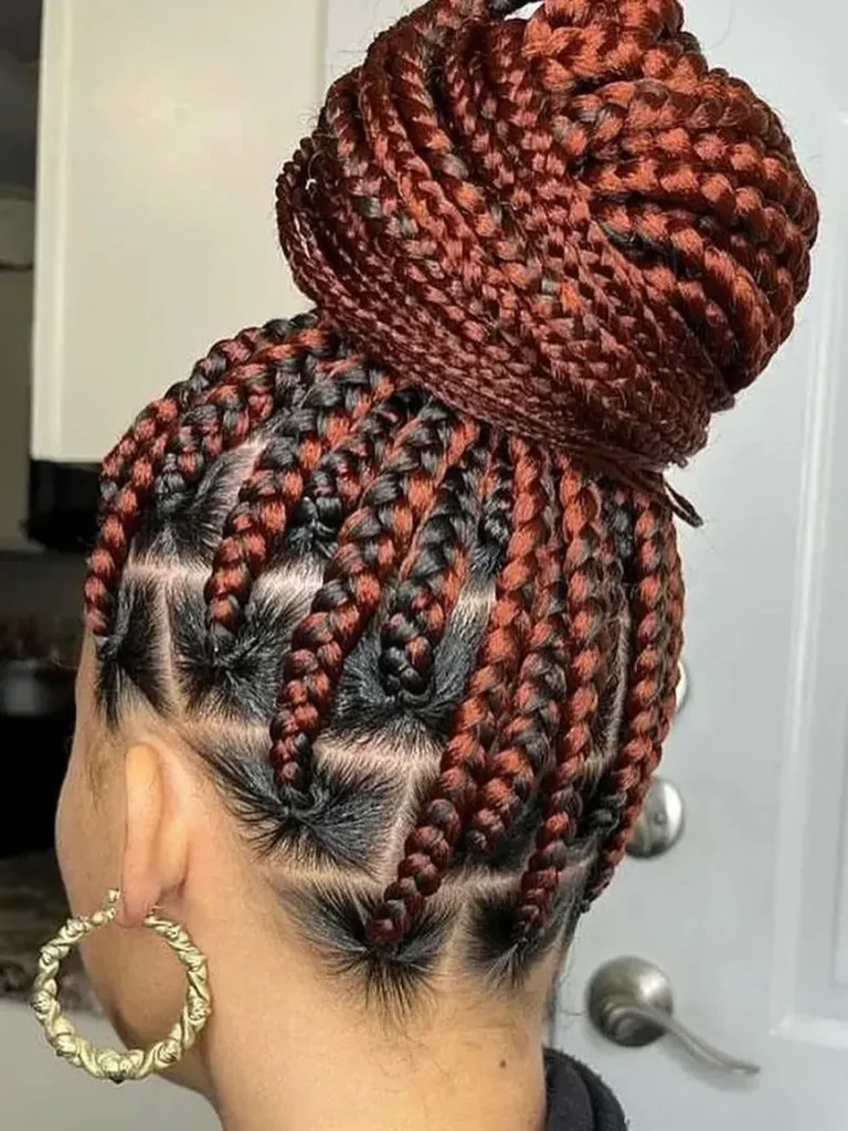 Burgundy Braided Top Bun