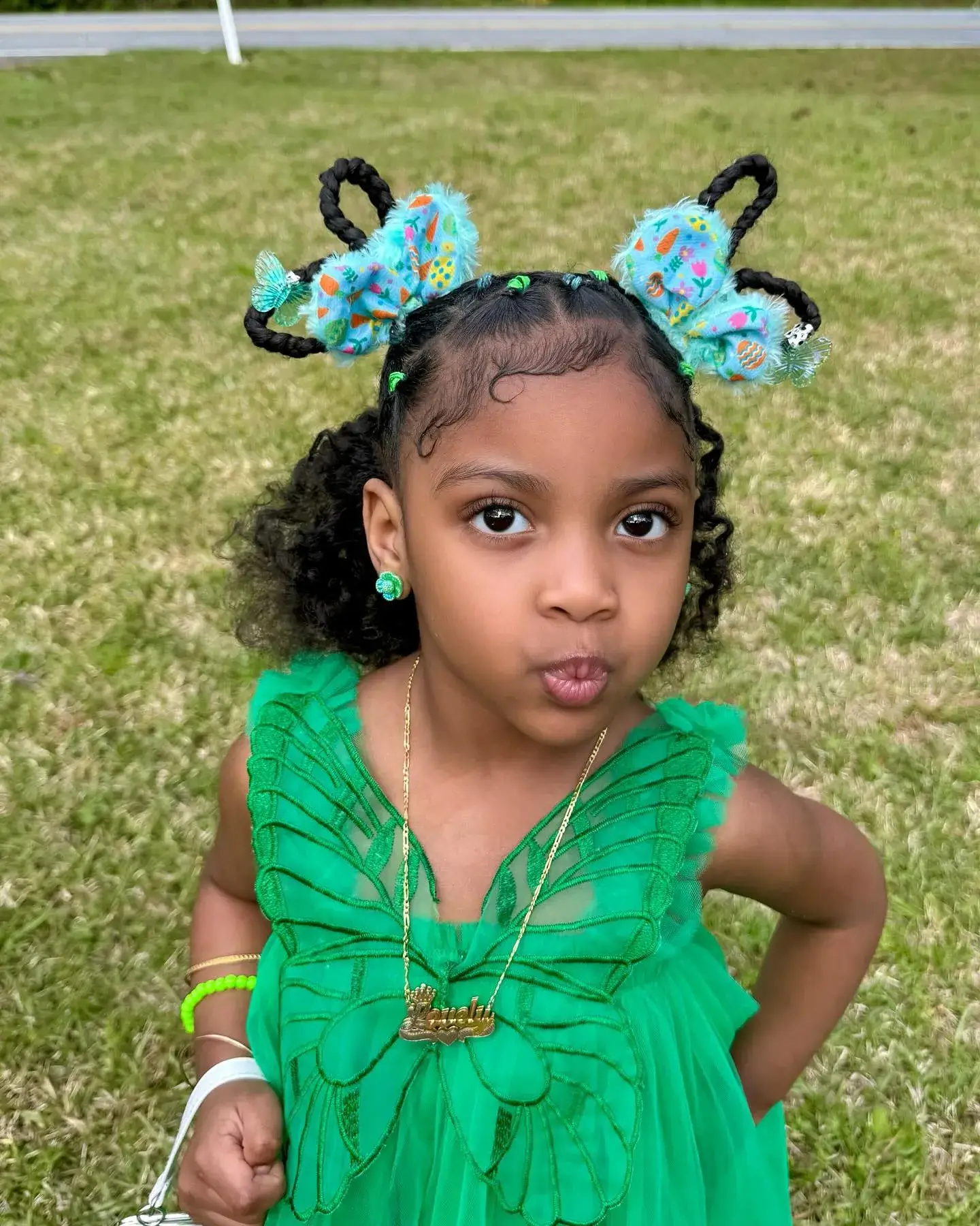 Butterfly Loop Bows