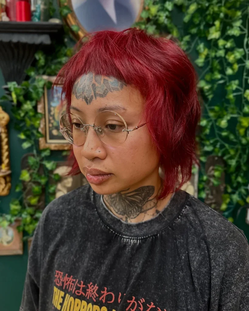 Choppy Red Shag with Fringe