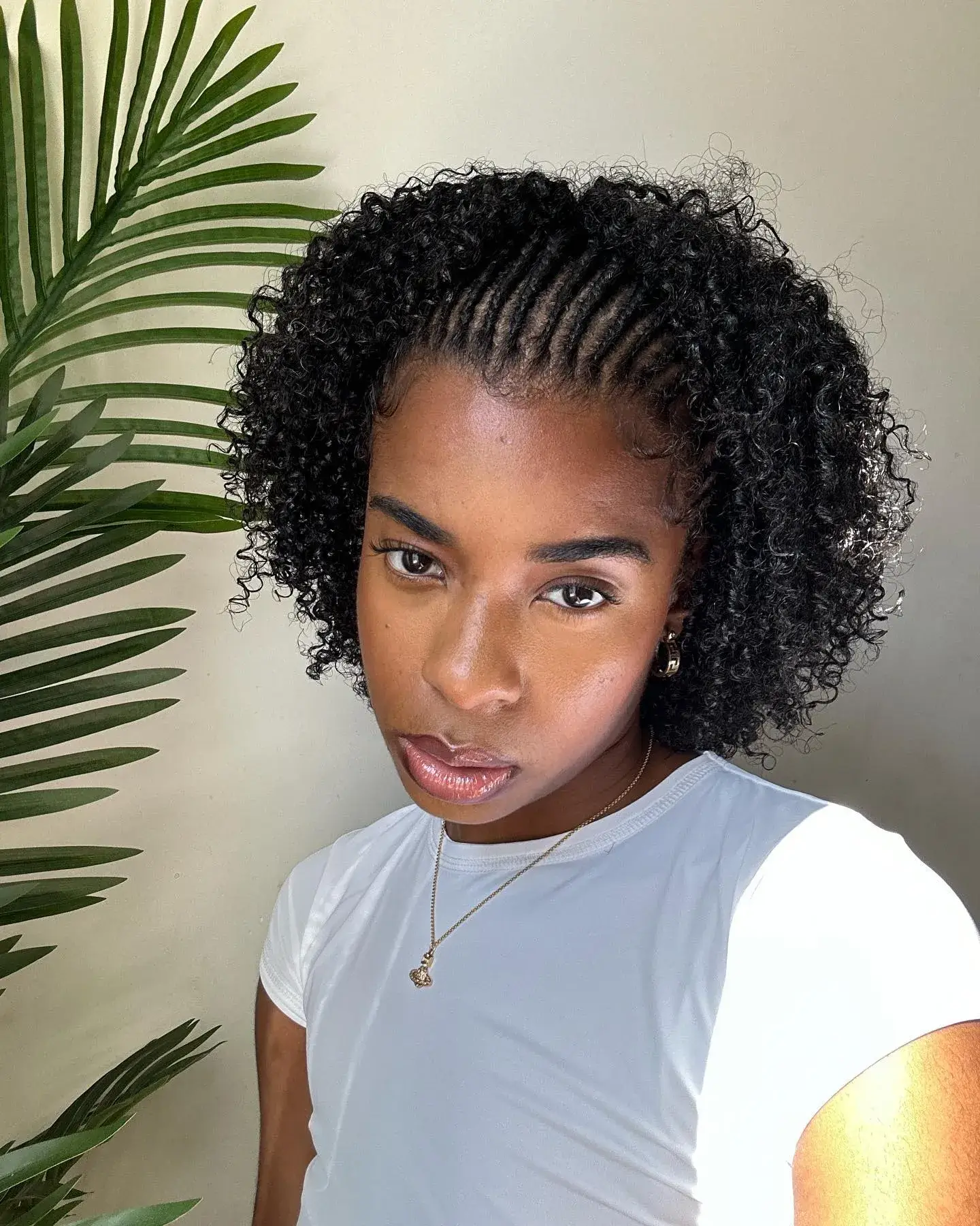 Curly Afro With Front Braids