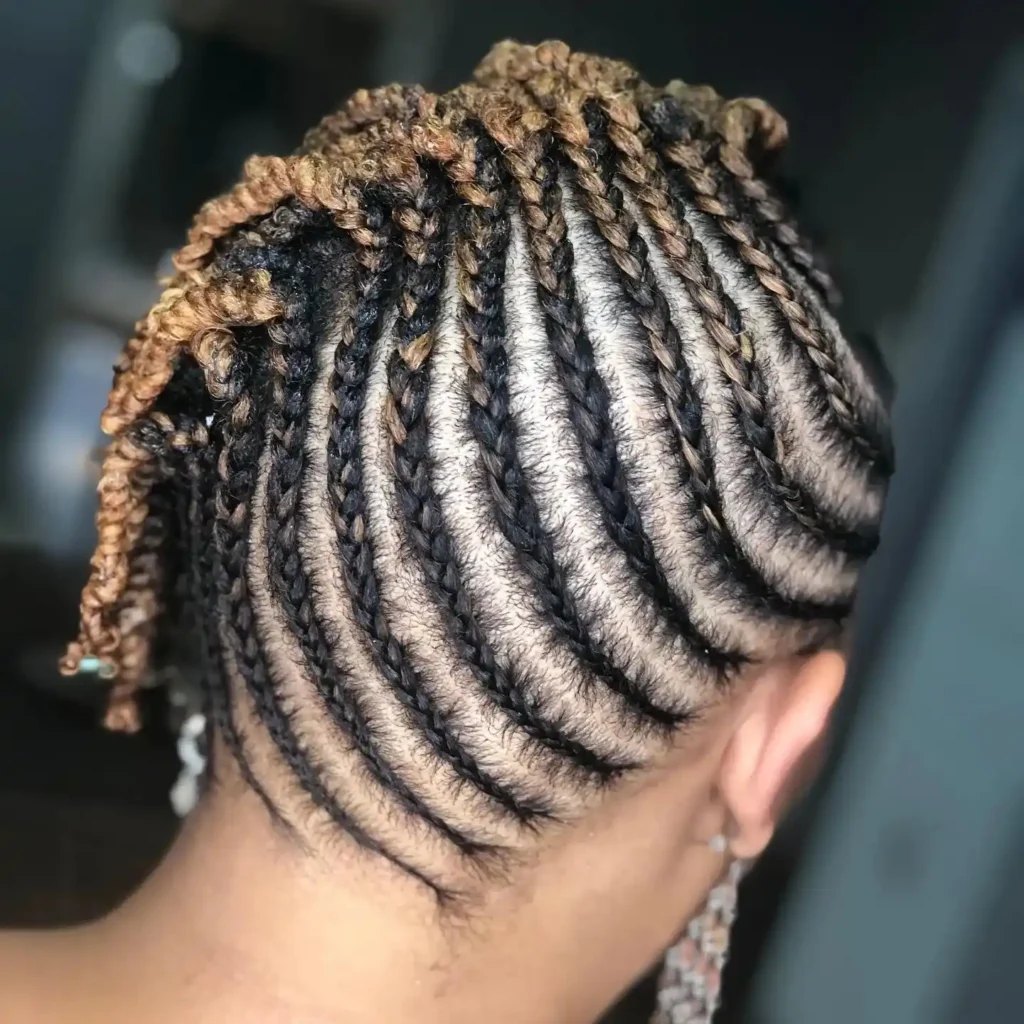 Curved Cornrow Taper Updo