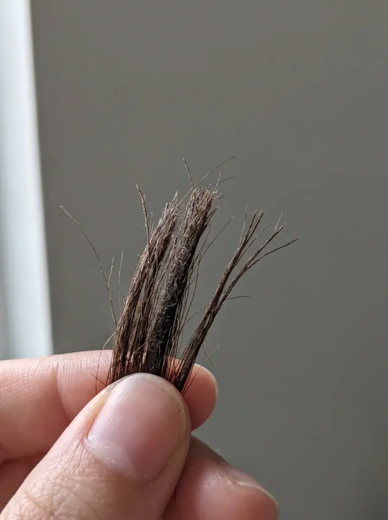 Dry Hair