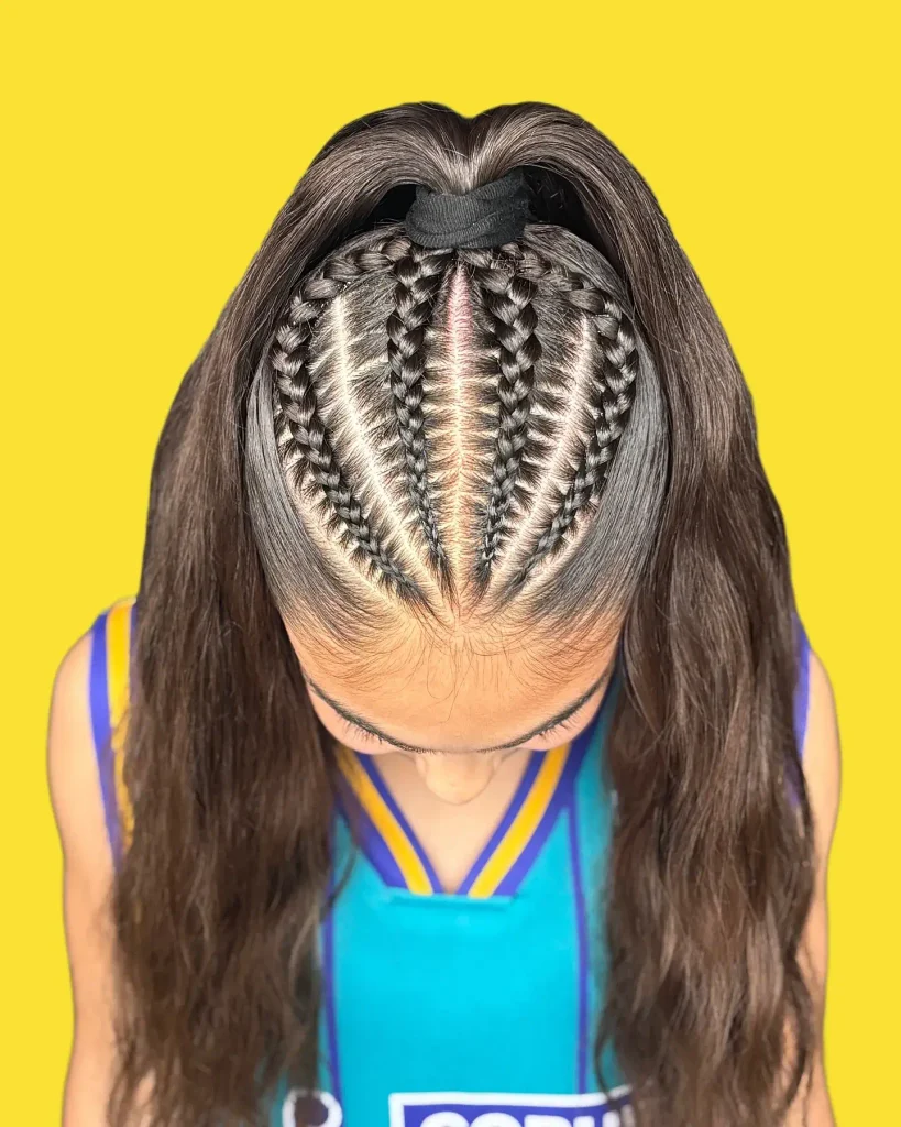 Heartline Braided High Ponytail