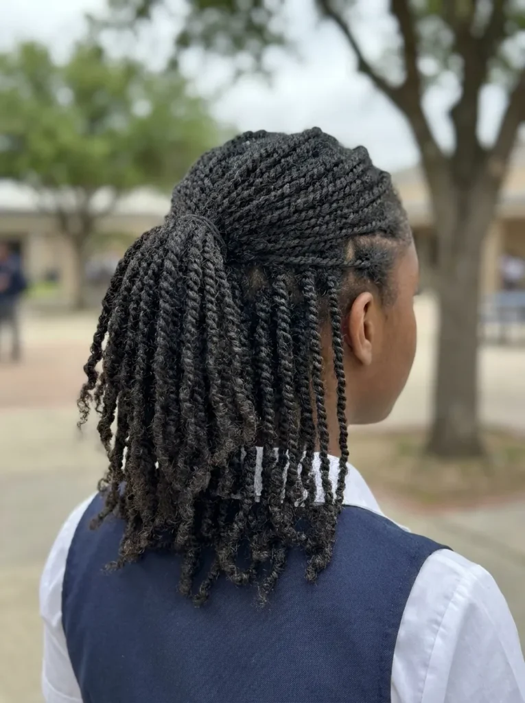 Mini Twist Ponytail