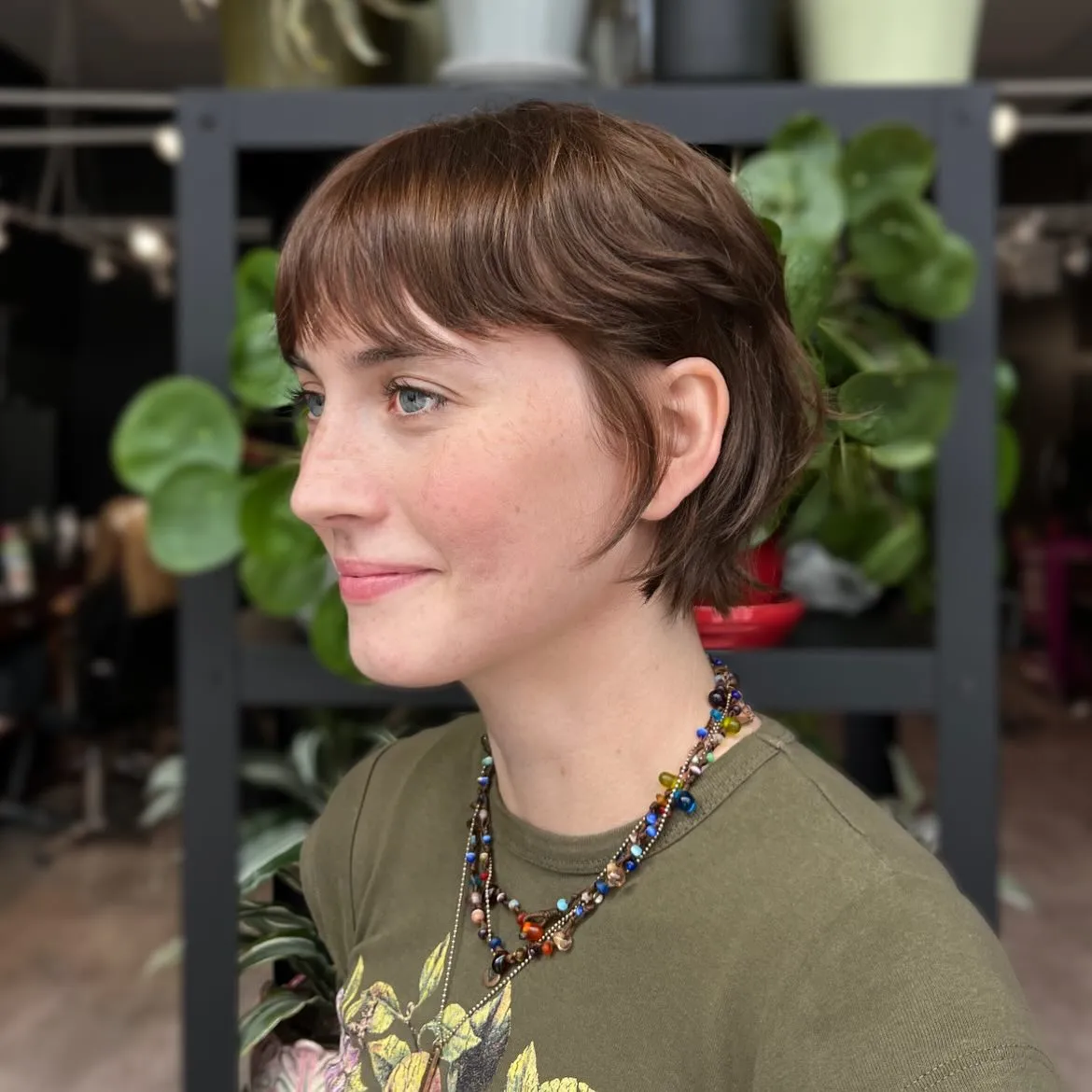 Soft Brown Pixie Bob