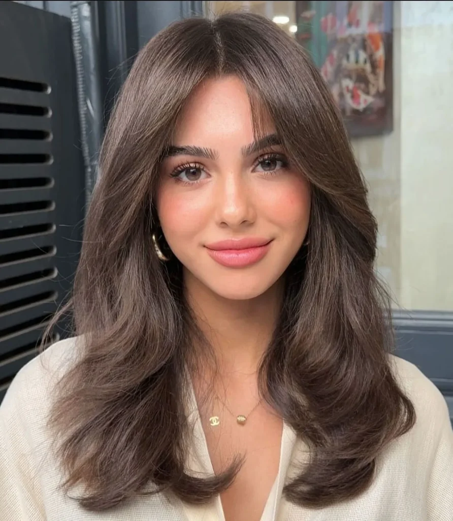 Soft Curtain Layered Hair