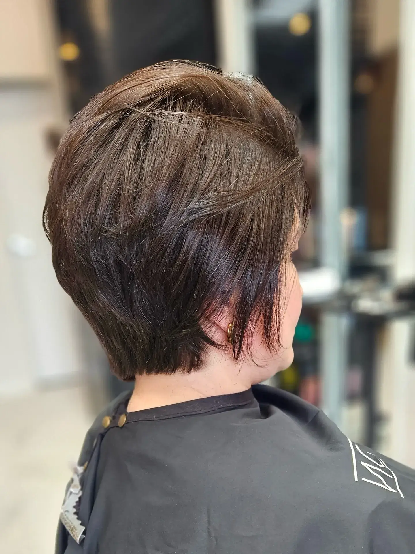 Tapered Brunette Pixie Bob
